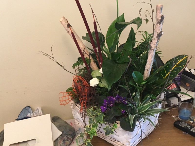 6E1EBCCA-144B-4753-89CD-F157DC15F933