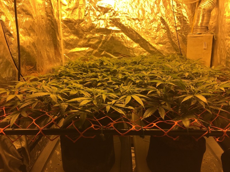 96D9F120-B855-4736-87AE-35895739F69F