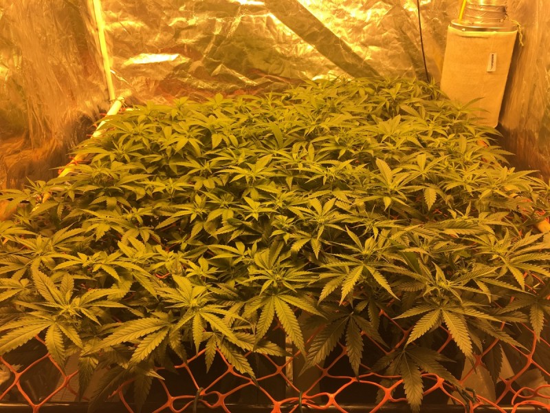 4BF61A23-D532-43A3-90DA-686808DDC09B