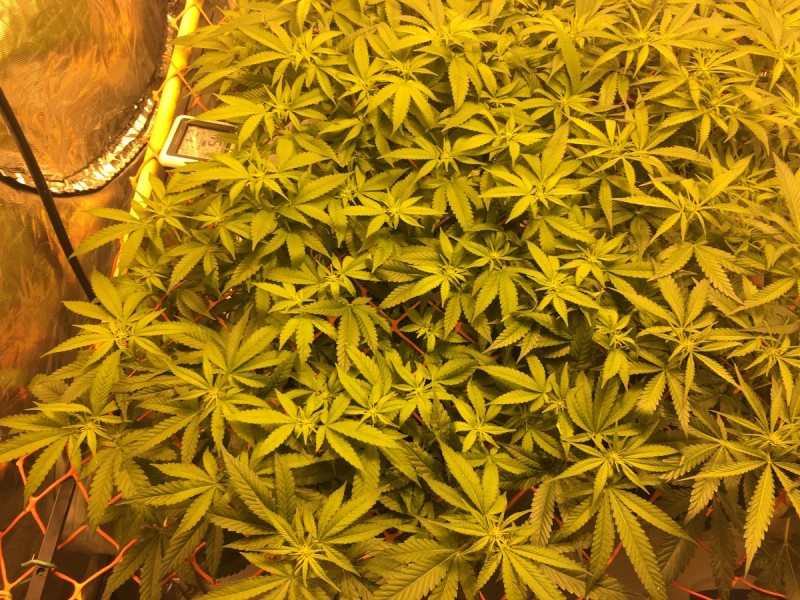 1F9AF0B3-2D55-4B49-B8B4-F859620EF2A3