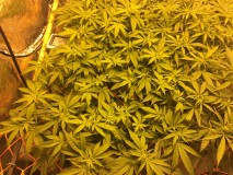 1F9AF0B3-2D55-4B49-B8B4-F859620EF2A3