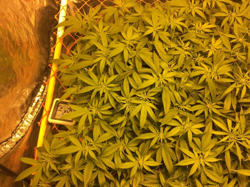 DB90253A-6AC1-4BD4-BDD8-77A294D1A678