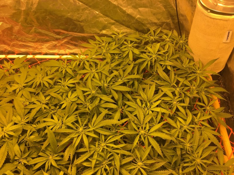 4240096C-D0E6-4153-A63A-B5854EDD39C4