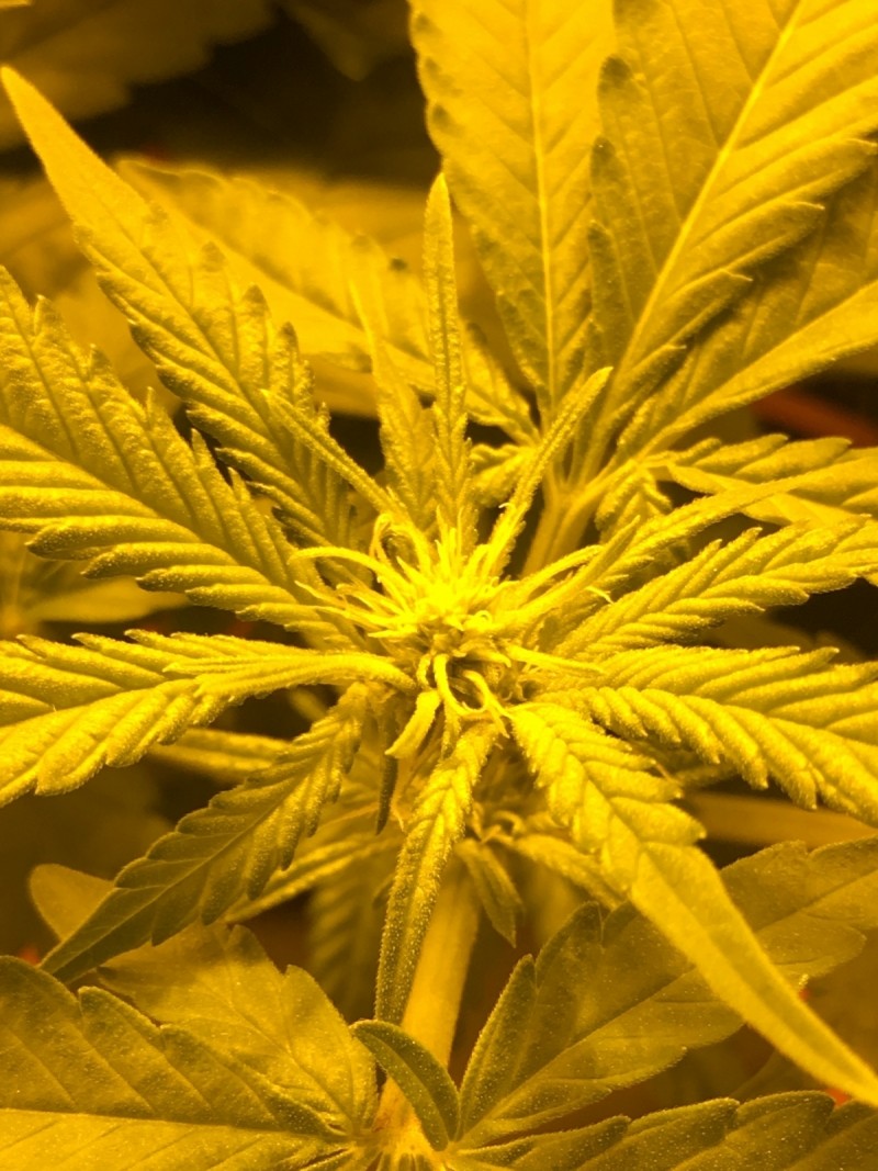 4B422F85-0FD9-4714-B02A-5E518D148C97