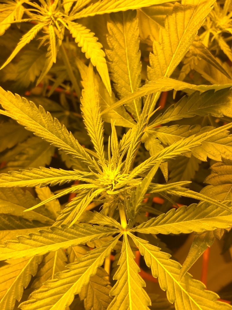 ADD27DD9-3DA7-45FE-B0A5-FFF0D1FB3C04