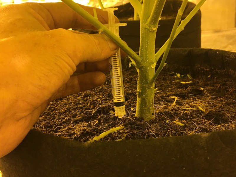 19D8AD4C-689E-4477-A094-BC8142B14AF4