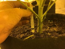 19D8AD4C-689E-4477-A094-BC8142B14AF4