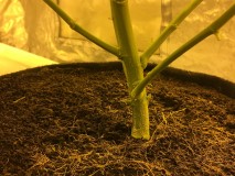 04A64BF3-77F7-45E5-88D0-C2E4D59183CA