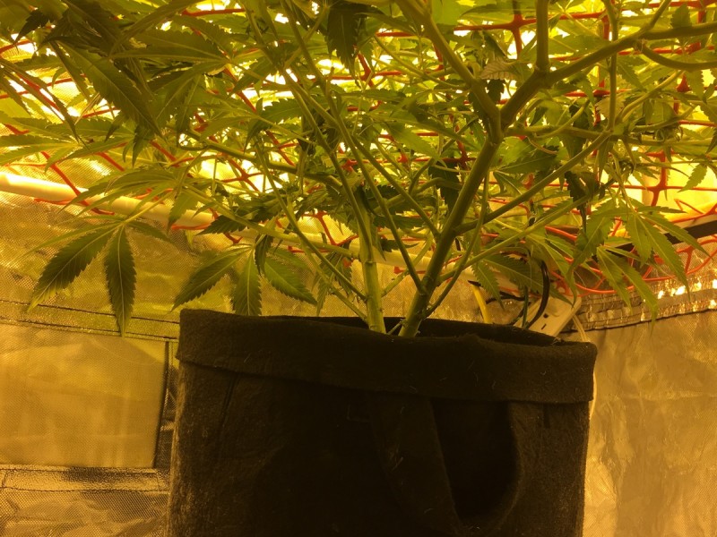 3B5A979D-32FA-4AD4-8426-6D5A2D1F77BA