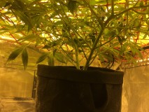 3B5A979D-32FA-4AD4-8426-6D5A2D1F77BA