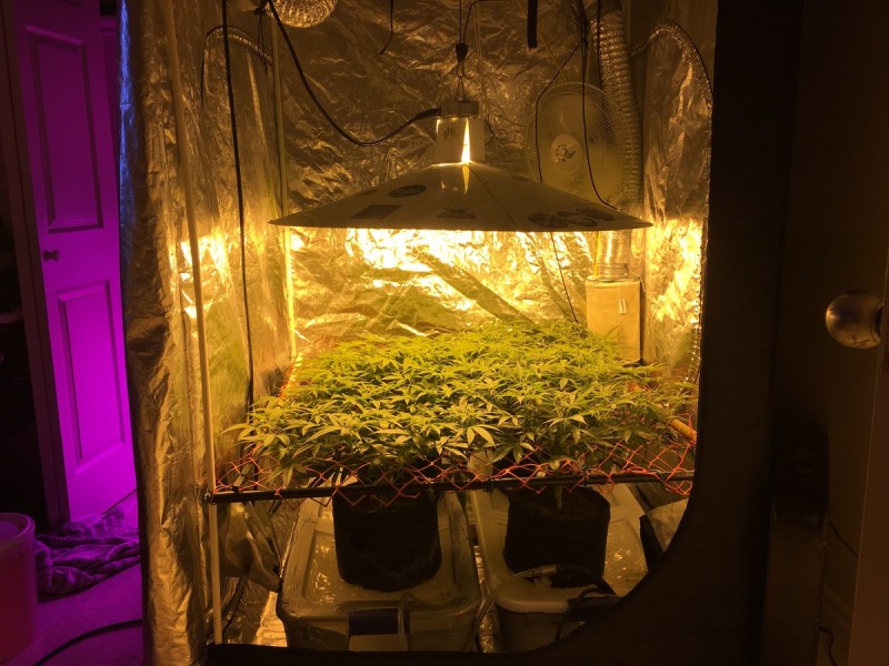 5E85CCB3-D2BE-4BD9-B85B-E99C64D93536