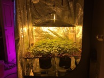 5E85CCB3-D2BE-4BD9-B85B-E99C64D93536