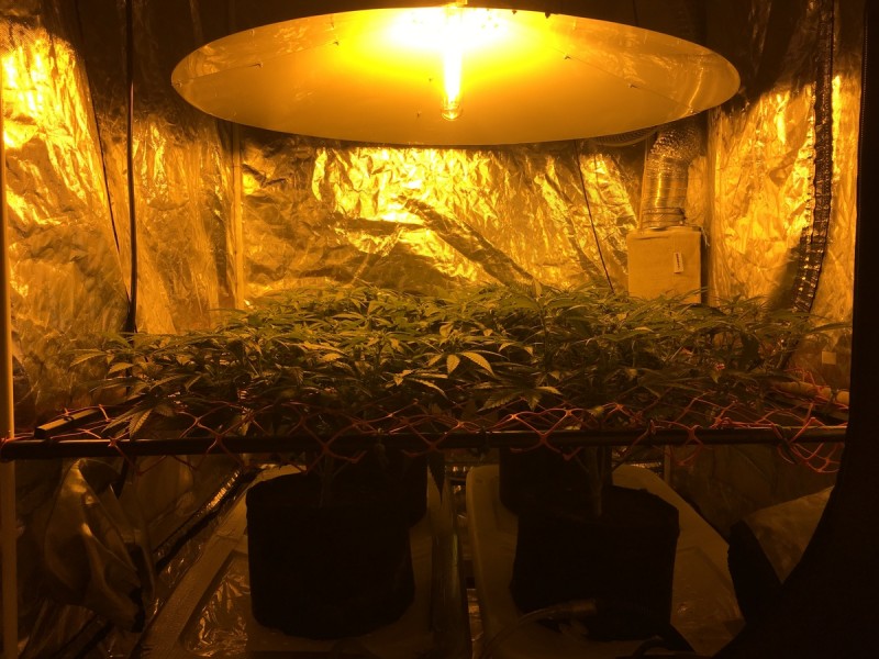 0F865DAB-AD83-41B0-8656-42091CECAF1B