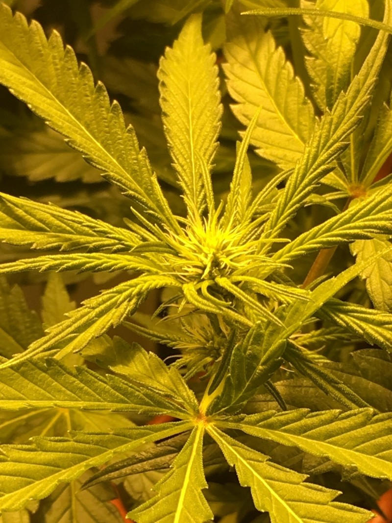 FC9AB223-90C7-4A25-B634-FE4A30B5D1B0