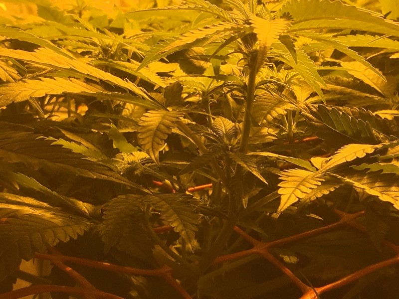 081BB48F-32AE-40E3-A1D1-D48D14EFEF57