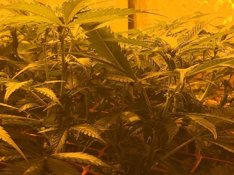 746C07E9-9A20-436F-BB9D-72A673CF785F