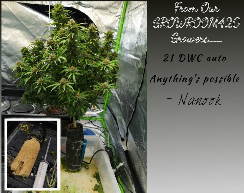 474F331B-C099-433E-92BB-DE5F36B1E762