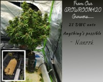 474F331B-C099-433E-92BB-DE5F36B1E762