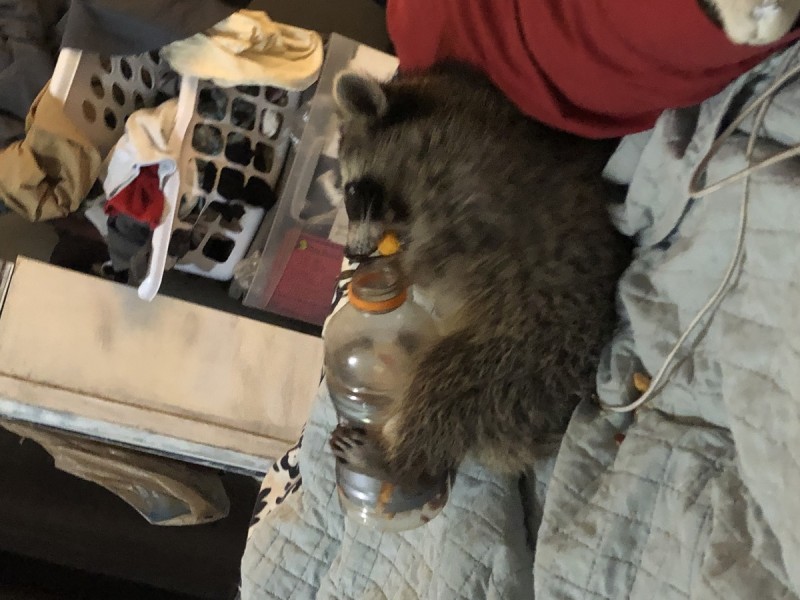 686B20F6-91A4-4497-A986-CFFE95354A41