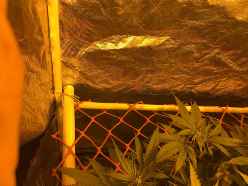 A86557E1-415F-4BD4-8F7C-37F773605DD8