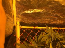 A86557E1-415F-4BD4-8F7C-37F773605DD8