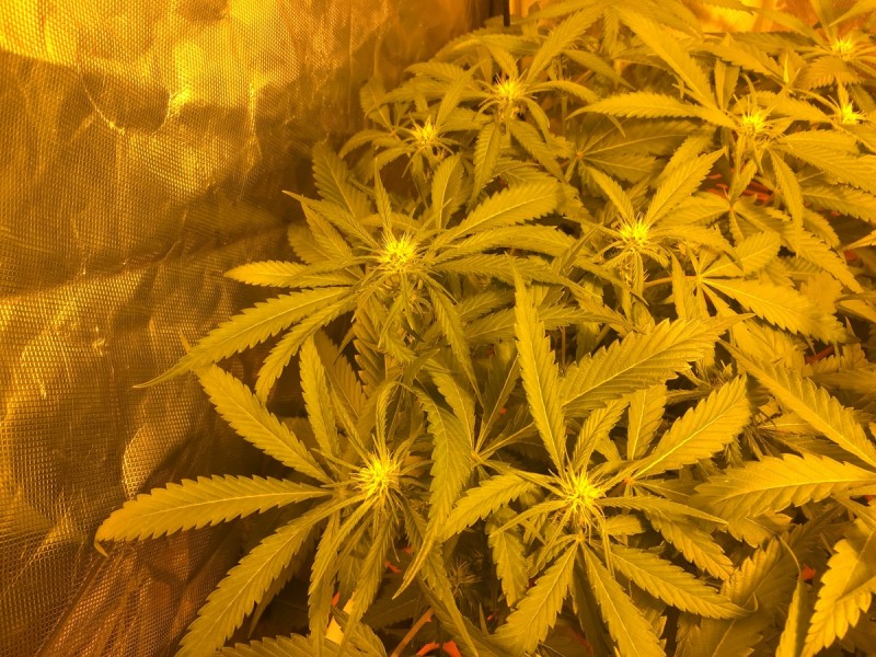 96F61277-7C0F-49B6-8423-D9E602A7B182