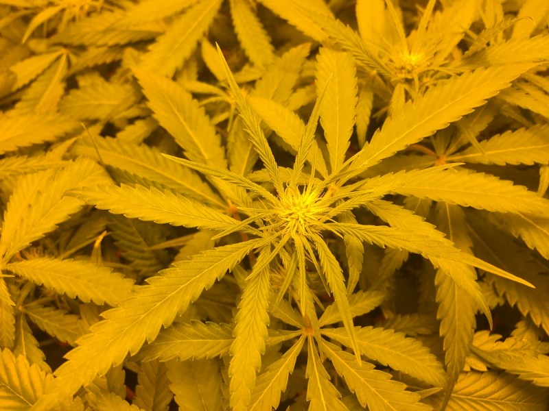 C3F7EA4E-7379-428A-8DA0-94EE6E59DC38