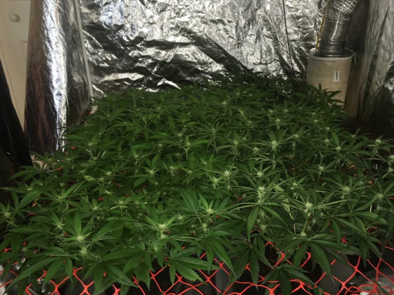 C13C184F-4F10-4721-AAD4-BD40C362E245