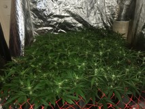 C13C184F-4F10-4721-AAD4-BD40C362E245