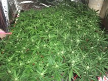 723AC8F6-2AD9-457C-9743-C8FFF0A6E251