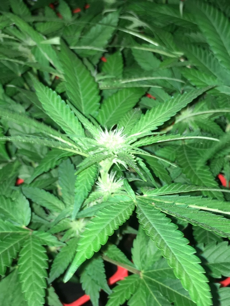 B8EEE22B-1699-479A-A1DE-3A4983DB8E6F