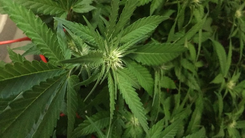 CBD2AE57-47D3-42F9-9651-11DE787622E7