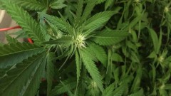 CBD2AE57-47D3-42F9-9651-11DE787622E7