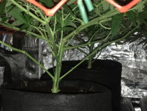 24D8EFA4-4193-4046-8825-21DC693ED400