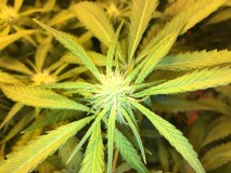 FA26CEF3-B2FF-47BA-A402-3173A2E1BD39