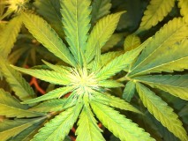 B3E6F6CF-44A8-44E1-AEA2-F3DBAB8829DF