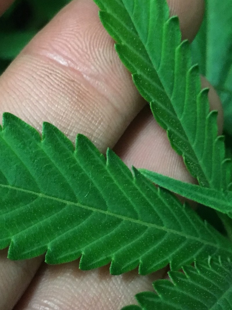 22FE93F3-CA51-4F0F-AC21-37D24464B44C