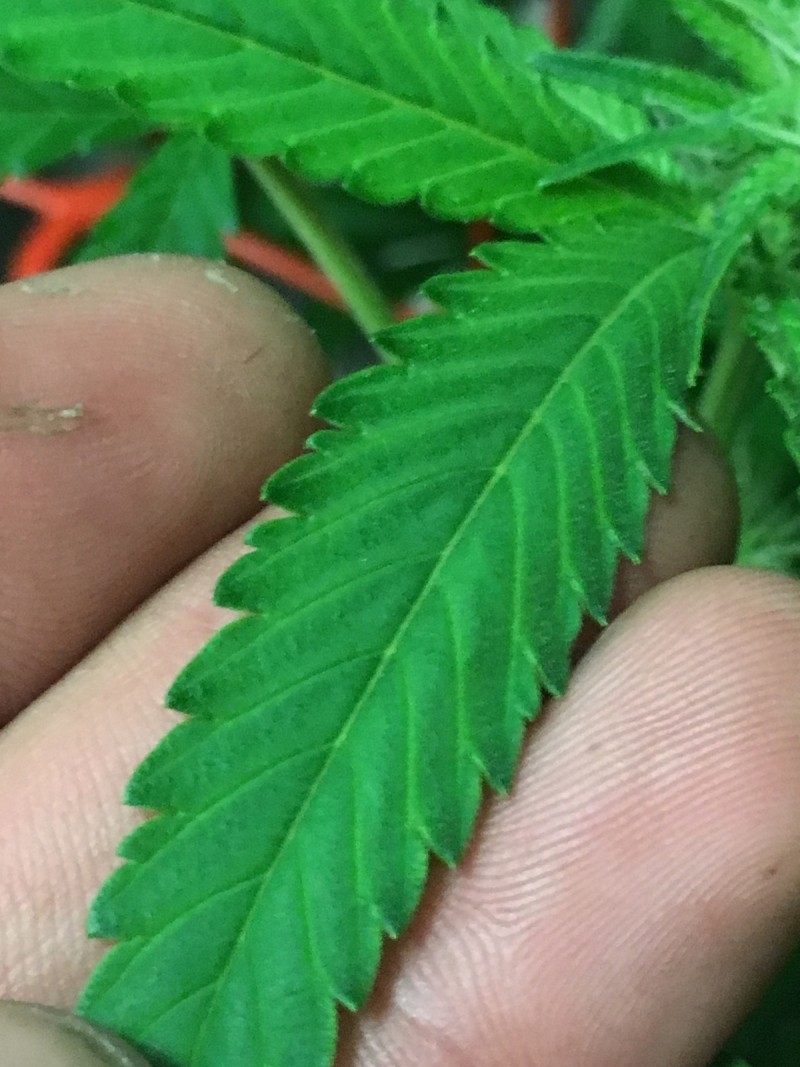 0AA07FC4-6E6E-4D67-A44E-5BC4BC7003E1