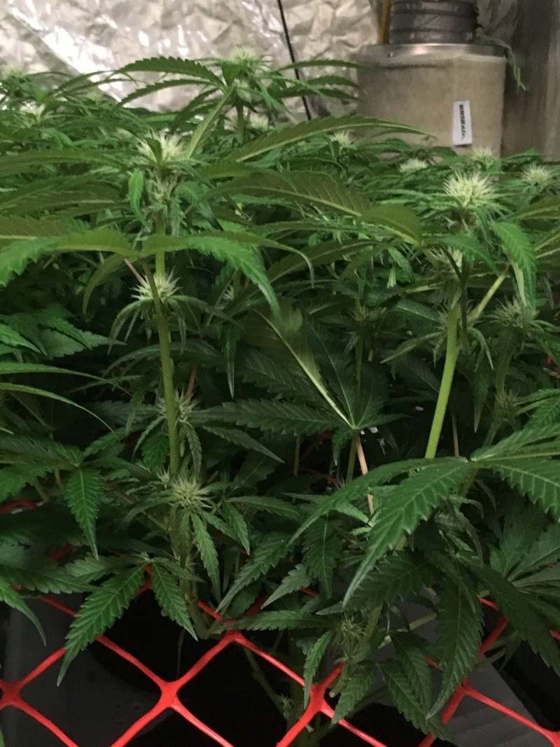 7929A3BD-89F8-4A73-934C-22034AB23C22