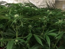 147BDCBE-B1A8-46AB-B383-C16A243A91B9