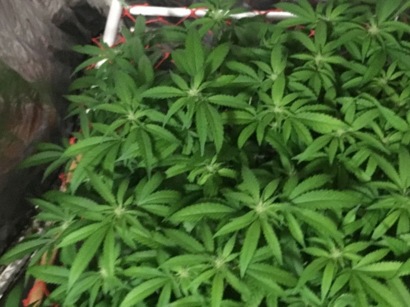 B49E3FCD-A06E-4CAE-A532-6267FBC3607F