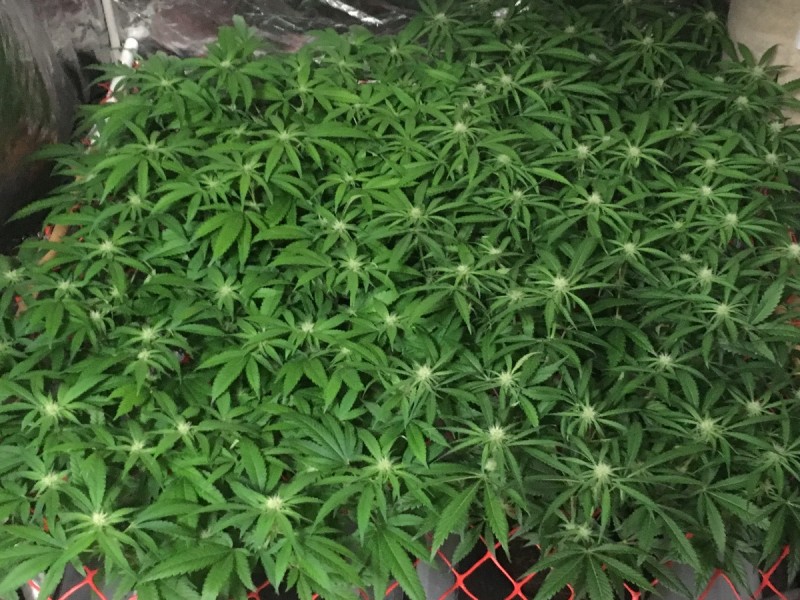 75A30510-9542-4153-84CF-49B71CF579B2