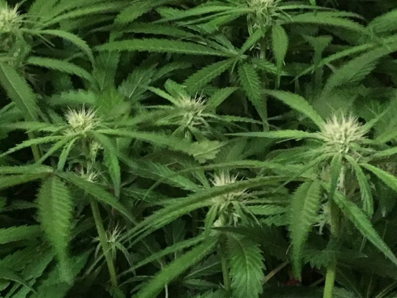 43FAC1E8-9EF9-4C04-AD42-C17033215848