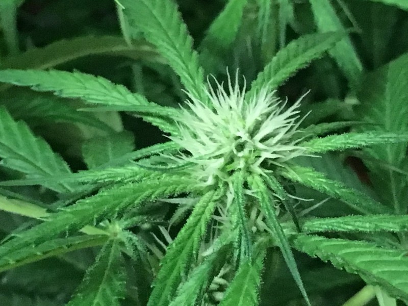 6BACBA0A-03D4-445E-AFFD-D711157598DA