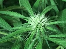 6BACBA0A-03D4-445E-AFFD-D711157598DA