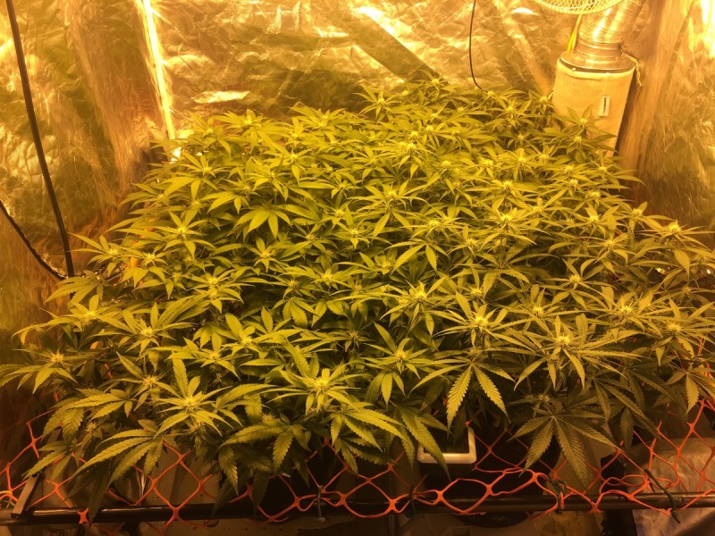 2971AB6F-2248-4CF9-B448-51CF52B5D816