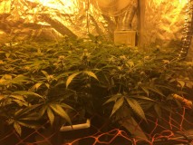 F51C9479-B2D9-4DF6-8279-0DBA4552634C