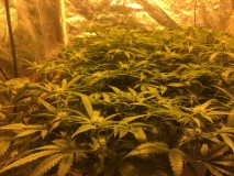 237331A0-C3CE-48D1-9F30-BD8FEAF21E17