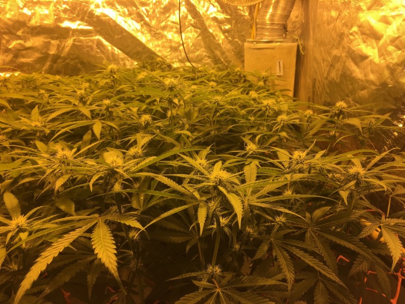 81F5ECED-1C35-4D81-87A4-4CF5CC9CAD6D