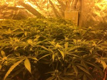 81F5ECED-1C35-4D81-87A4-4CF5CC9CAD6D